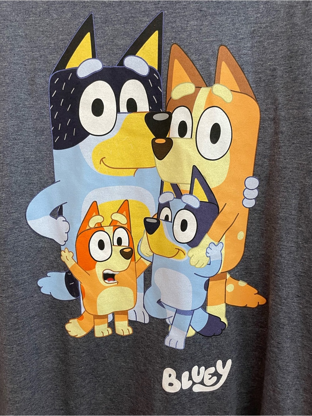 Bluey Family Graphic Tee Men’s Gray 2X XXL Father’s Day